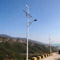 Wind Solar Outdoor Lamp/Wind Solar Outdoor Lamps